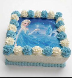 Square egg-free Frozen Princess photo birthday cake featuring a premium edible Frozen Princess image, blue and white fresh dairy topping swirls, desiccated coconut-coated sides, blue piped border, and a personalised edible message for children's birthday celebrations.