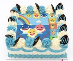 Baby Shark photo birthday cake with edible image, blue and white fresh cream rosettes, and chocolate leaf decorations