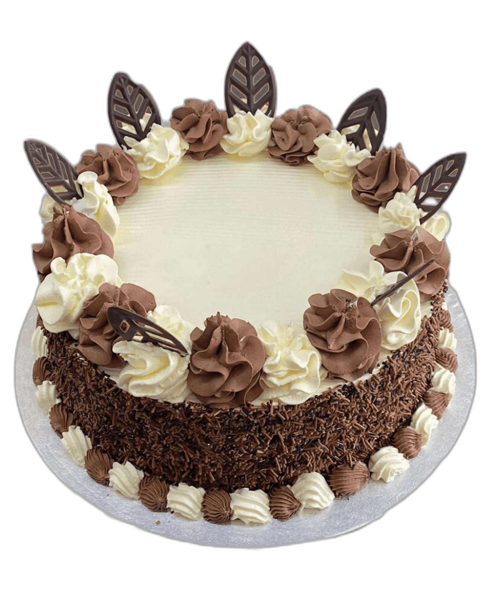 Chocolate Celebration Cake Egg Free Chocolate Celebration Cake with chocolate sprinkles, chocolate fans and chocolate icing decoration, handmade in Sheffield