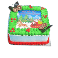 Egg Free Christmas Scene Photo Cake with edible Christmas image, green festive icing, Ferrero Rocher chocolates and chocolate fans, handmade in Sheffield