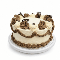 Classic Chocolate & Vanilla Celebration Cake decorated with smooth vanilla buttercream, chocolate buttercream swirls, elegant chocolate piping, chocolate decorations, and a plain centre for a personalised message. Freshly made in Sheffield.