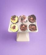 Fresh handmade cupcakes from Cake Palace Sheffield