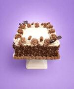 Square egg-free chocolate celebration cake decorated with fresh dairy topping, chocolate piping, premium chocolate curls covering the sides, chocolate curl pieces, decorative chocolate fans, and a large space for a personalised edible birthday message.