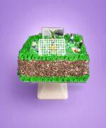 Egg Free football pitch birthday cake with football player figures, goal posts and chocolate shavings made in Sheffield