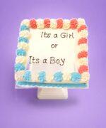 It's a Girl or It's a Boy Egg-Free Fresh Cream Gender Reveal Cake with pink and blue rosette border
