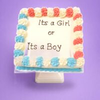 It's a Girl or It's a Boy Egg-Free Fresh Cream Gender Reveal Cake with pink and blue rosette border
