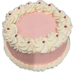 Round pink fresh cream celebration cake decorated with white fresh cream rosettes, cherry accents, and space for a personalised message.